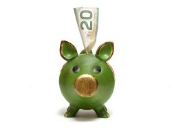 A piggy bank with a twenty dollar bill for the money saving mind set.